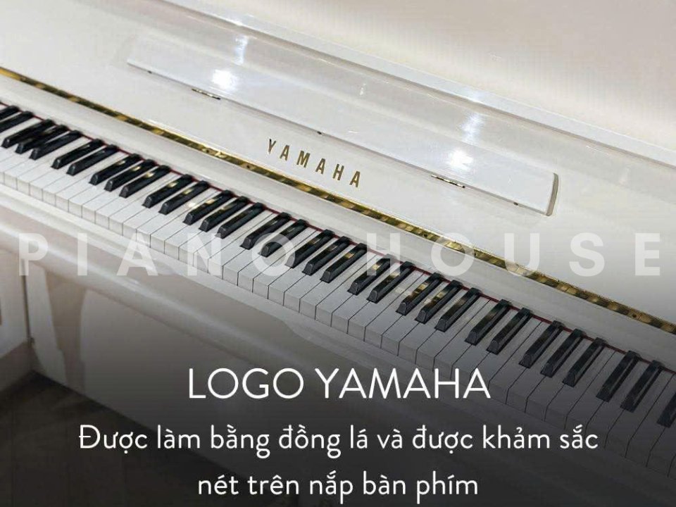 Chi tiết đàn YAMAHA MX202R WH - Hình 4